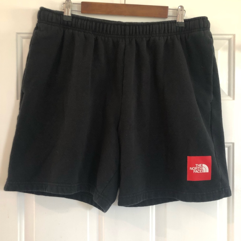 Mens North Face Shorts